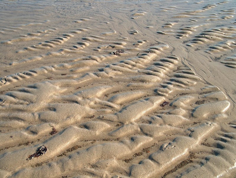 Cultural Performances